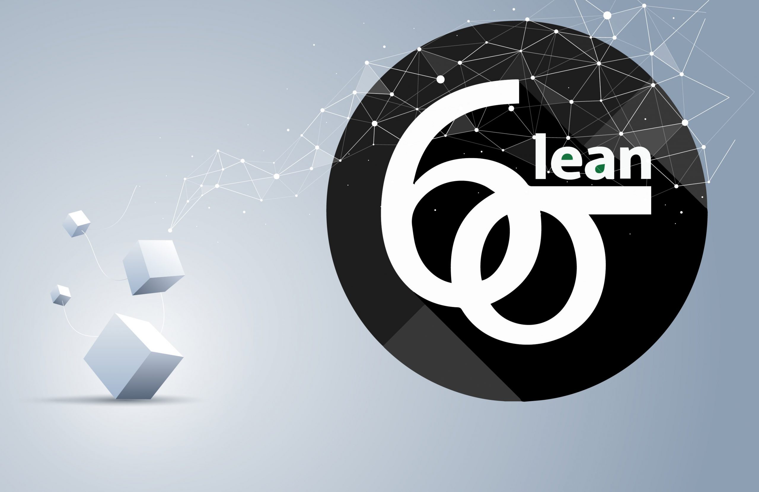 Lean Six Sigma – Black Belt