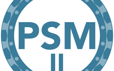 PSM – Professional Scrum Master II Training